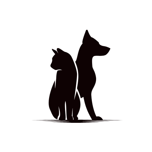client